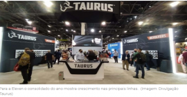 Taurus (TASA4): Vale a pena comprar a ação, após queda de 25% neste ano?